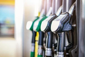 OECD work on fossil fuels